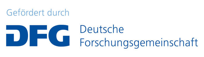 DFG-Projekt_logo